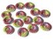 15 20mm Colorful Spiral Buttons 4 Hole Round Wood Buttons Wooden Buttons